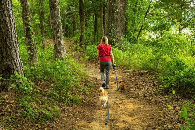 cani parco escursione