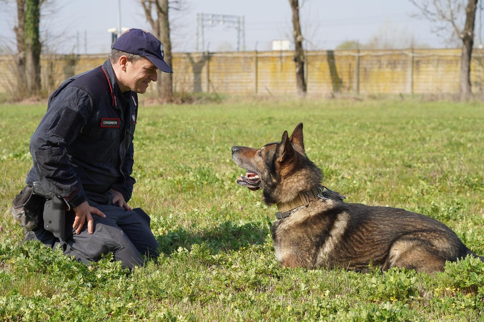 cane Bayla