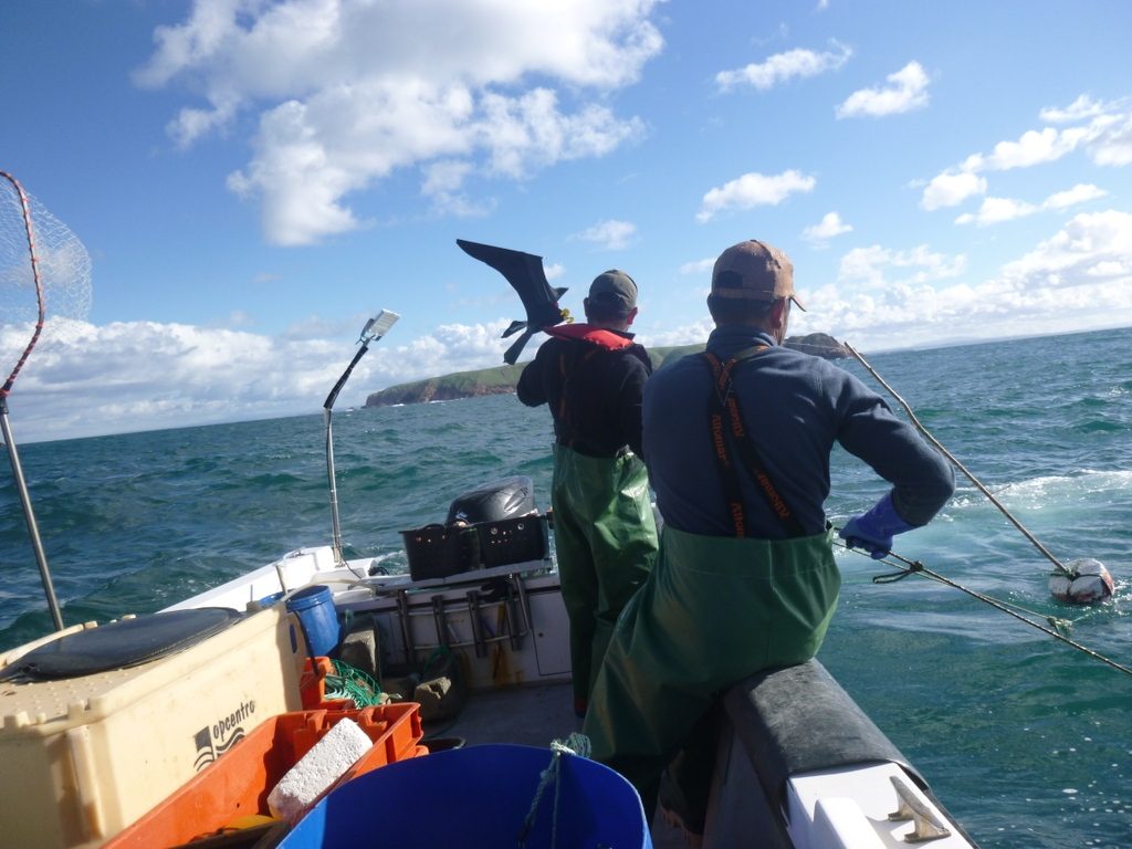 Pescatori e ricercatori pronti a rilasciare l’aquilone scarybird. Foto di Elisabete Silva/SPEA
