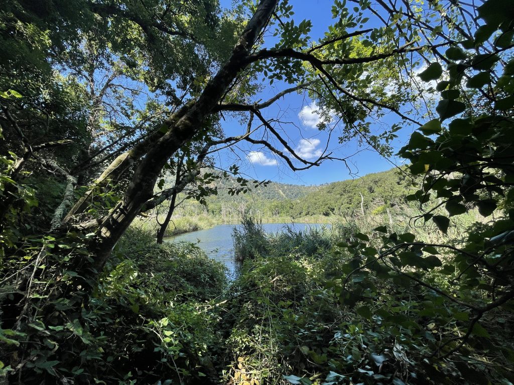 Uno scorcio del Lago Grande, uno dei tre specchi d’acqua presenti nel cratere degli Astroni