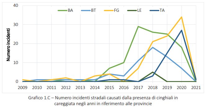 cinghiale monitoraggio puglia