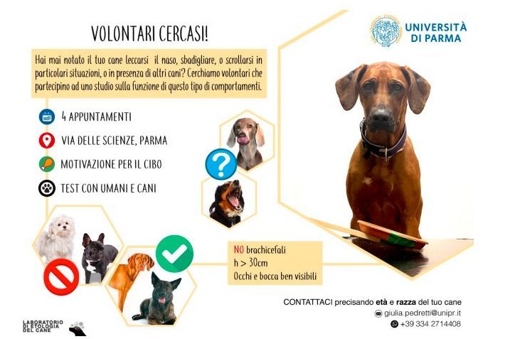 Volunteer wanted!