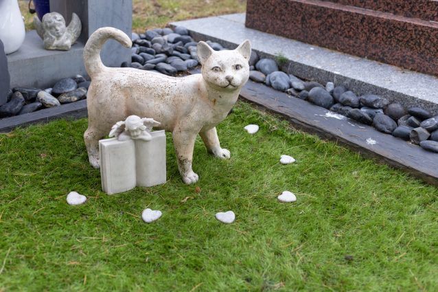 cimitero animali