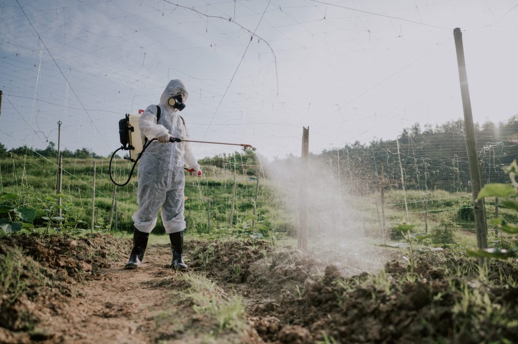 L’uso massiccio di pesticidi può influire sul microbioma degli insetti rendendoli più vulnerabili ai parassiti