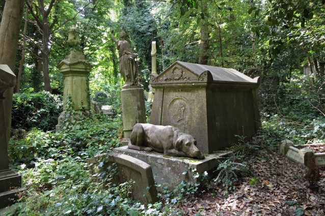 cimitero animali londra