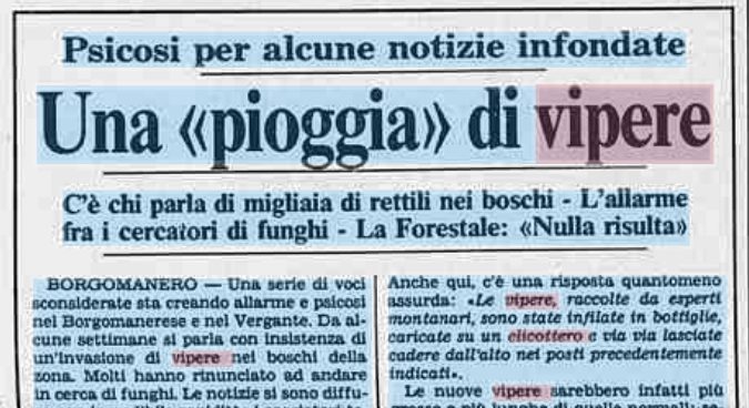 Un quotidiano piemontese affronta la "psicosi" per i lanci di vipere alla fine degli anni 80