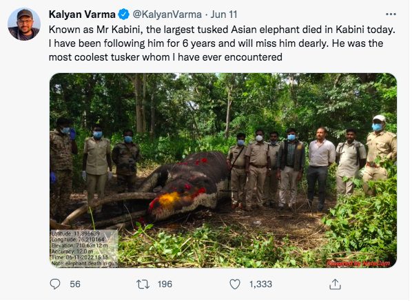 Il post su twitter del regista naturalista KalyanVarma che lo ha seguito per sei anni con la foto del suo ritrovamento