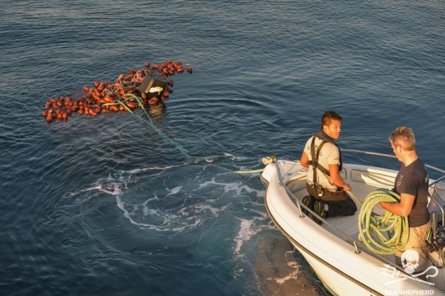 Il recupero della matassa di rete gigante nell’ultima operazione di Sea Shepherd Italia (credits:@SeaShepherdItalia)