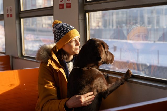 cani treno