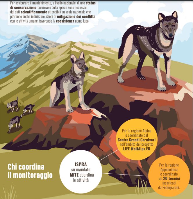 Una delle immagini pubblicate dall’Ispra nell’ambito del progetto