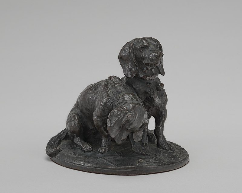Basset Hound