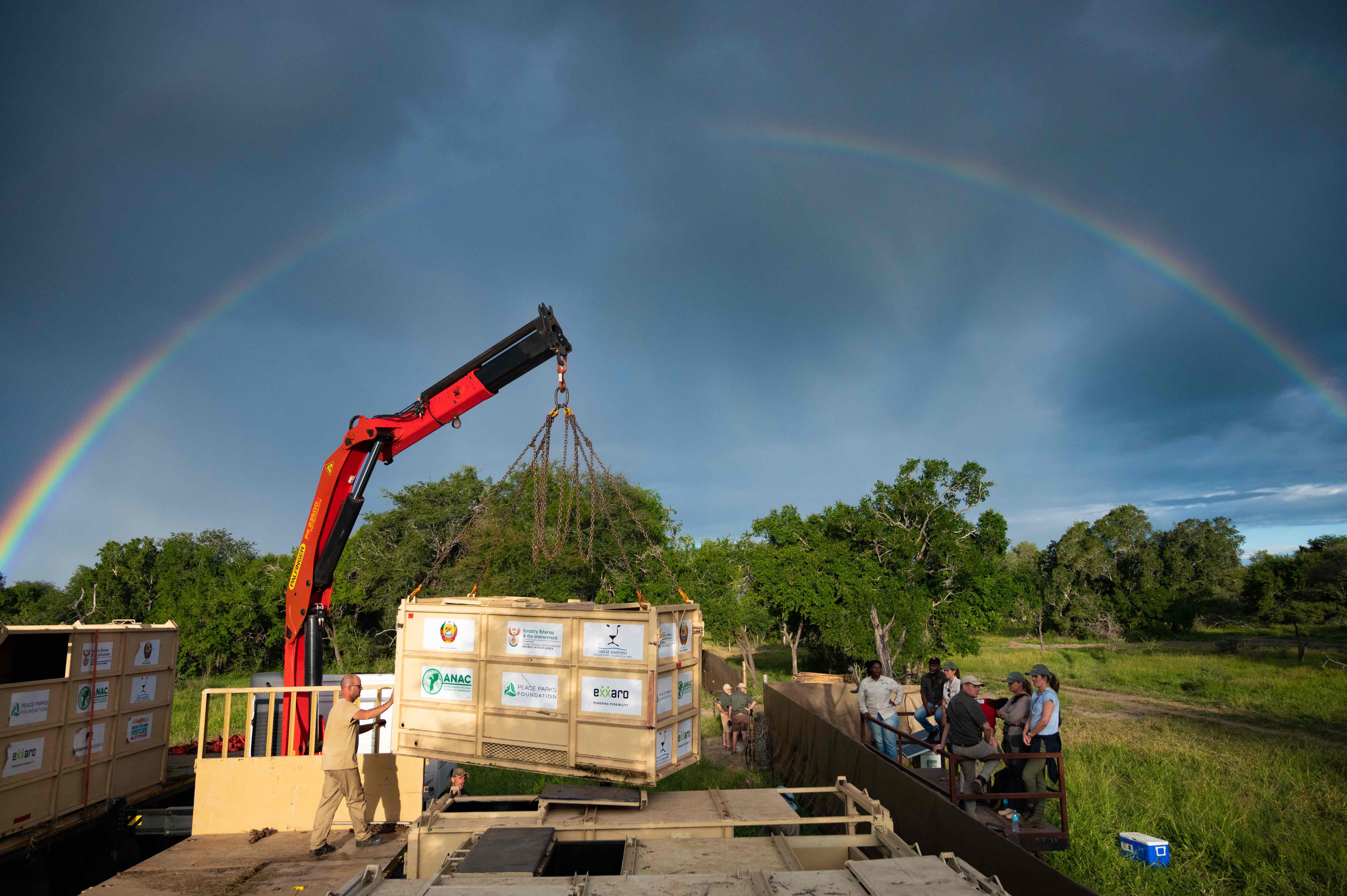 L’arrivo nel parco nazionale del Mozambico (credits:@PeaceParksFoudation)