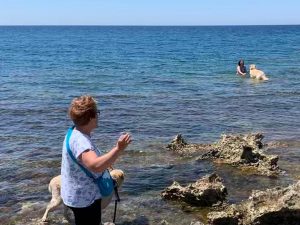 Nardo spiaggia | Kodami