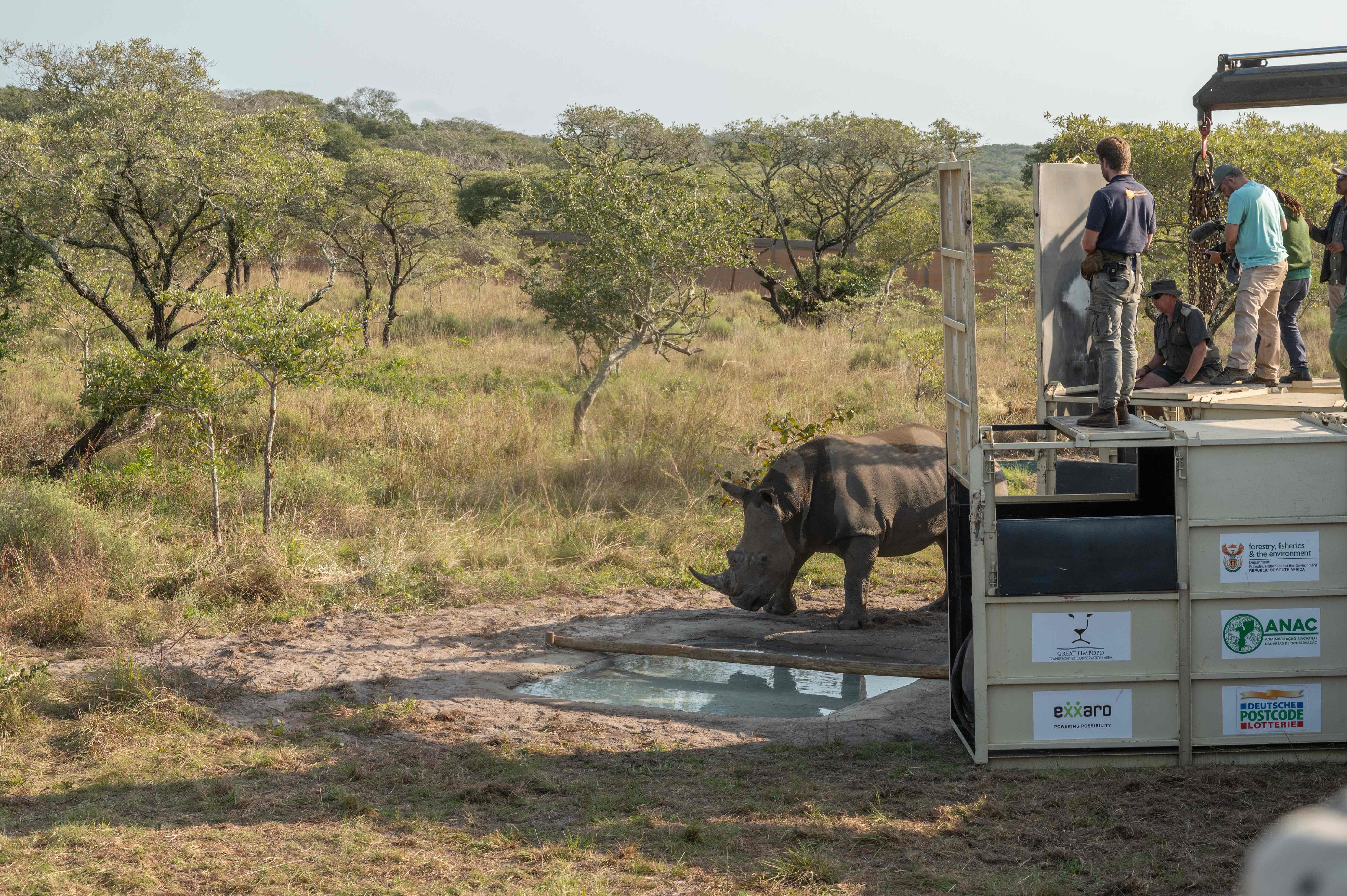 La sosta a metà viaggio nel Parco Nazionale di Maputo (creditsPeaceParksFoundation)