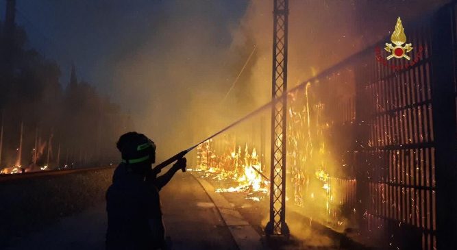Incendie dans la pinède de Sacchetti