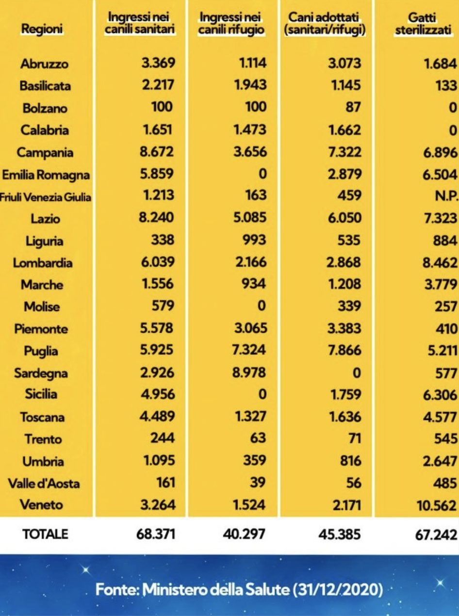 DATI RANDAGISMO 2021 DEL 31 DICEMBRE 2021 pre aggiornamento 14 luglio