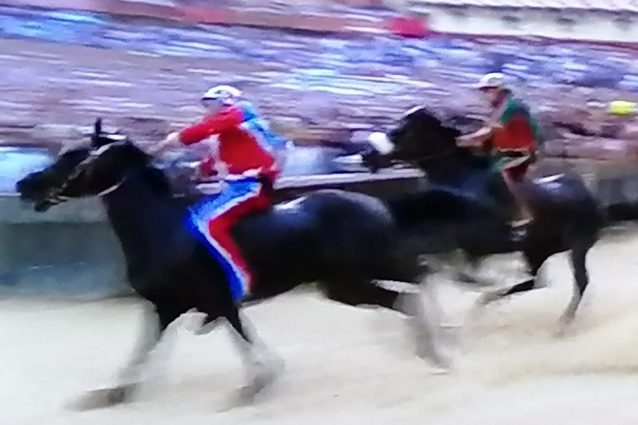 L’edizione 2022 del Palio di Siena ha visto vincere il Drago, ma ben 4 cavalli sono stati esclusi per problemi fisici (credits:MGFilippi)