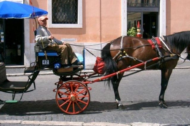 cavallo caserta