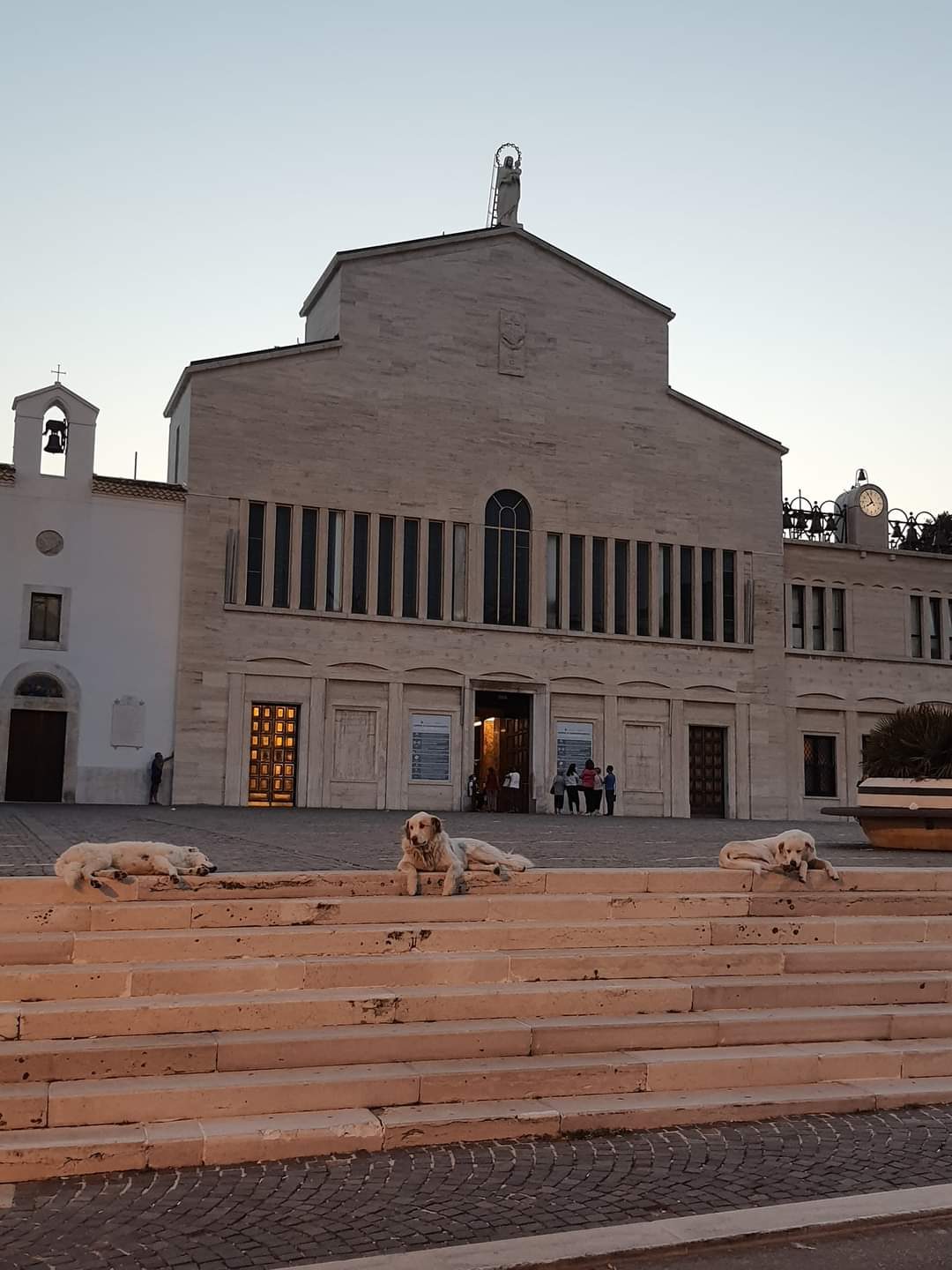 San Giovanni Rotondo cani