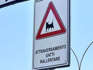 Attraversamento-gatti-cartello