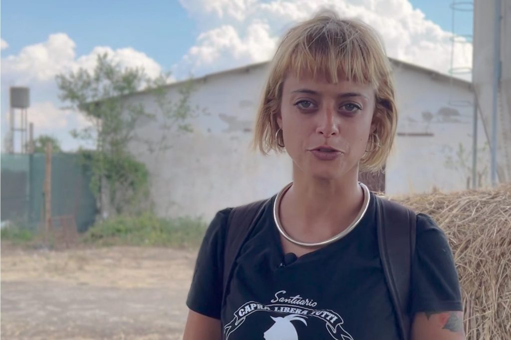 Arianna Fraccon, referente per la Rete dei Santuari di Animali Liberi