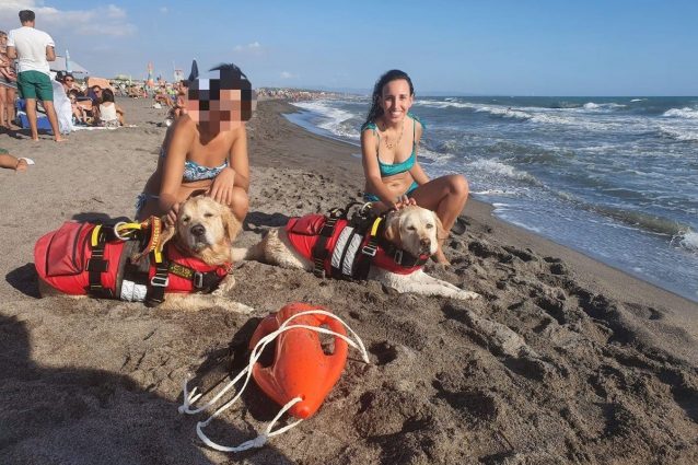 cani salvataggio