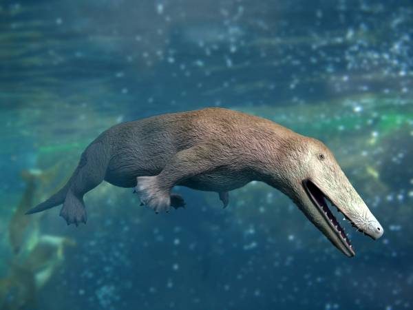 Ricostruzione di Ambulocetus