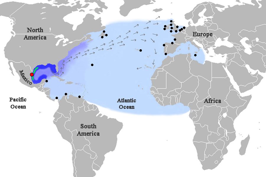 Distribuzione e osservazioni della tartaruga di Kemp. In rosso la spiaggia di Rancho Nuevo; In verde le aree frequentate dai maschi adulti; In blu le aree frequentate dalle femmine adulte; In celeste aree frequentate da giovani e subadulti; In nero singole osservazioni. Illustrazione da Wikimedia Commons