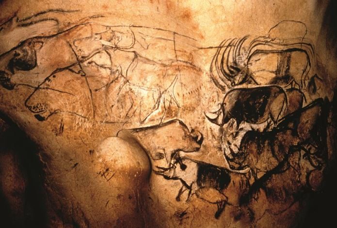 Le incisioni che raffigurano anche i rinoceronti incise in una grotta risalente a circa 30 mila anni fa (dal web)