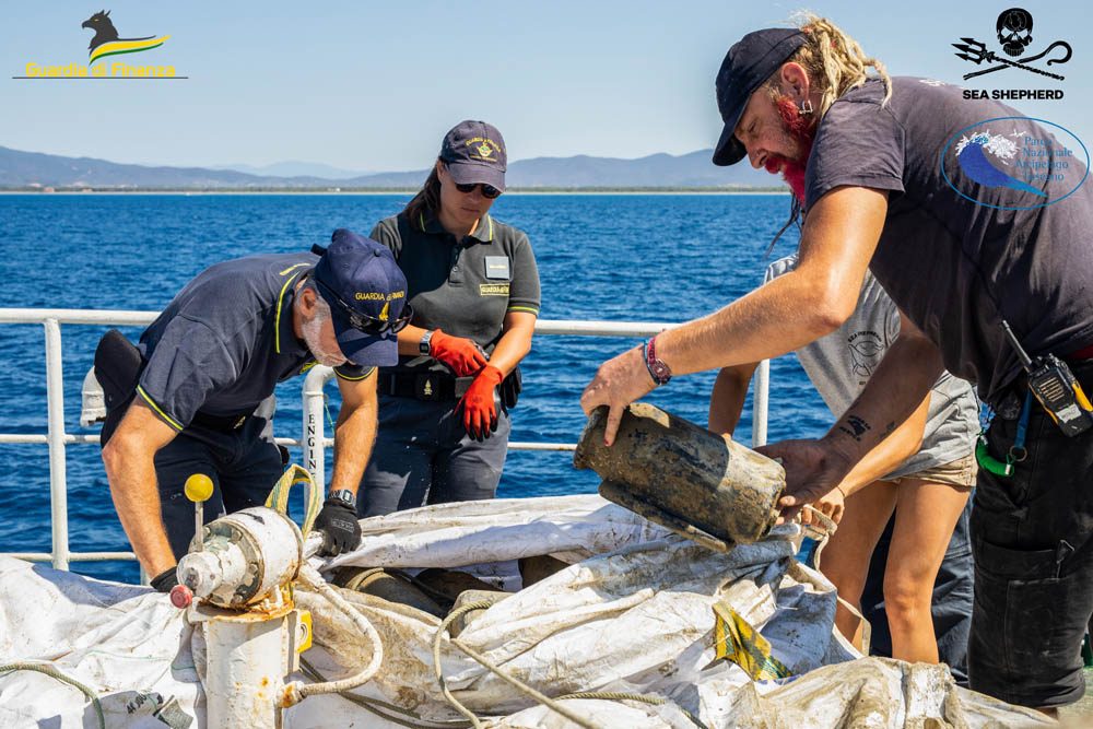 Credit: seashepherd