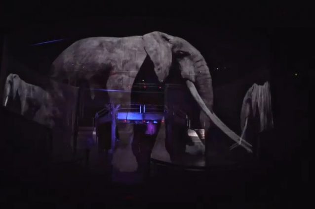 circo senza animali