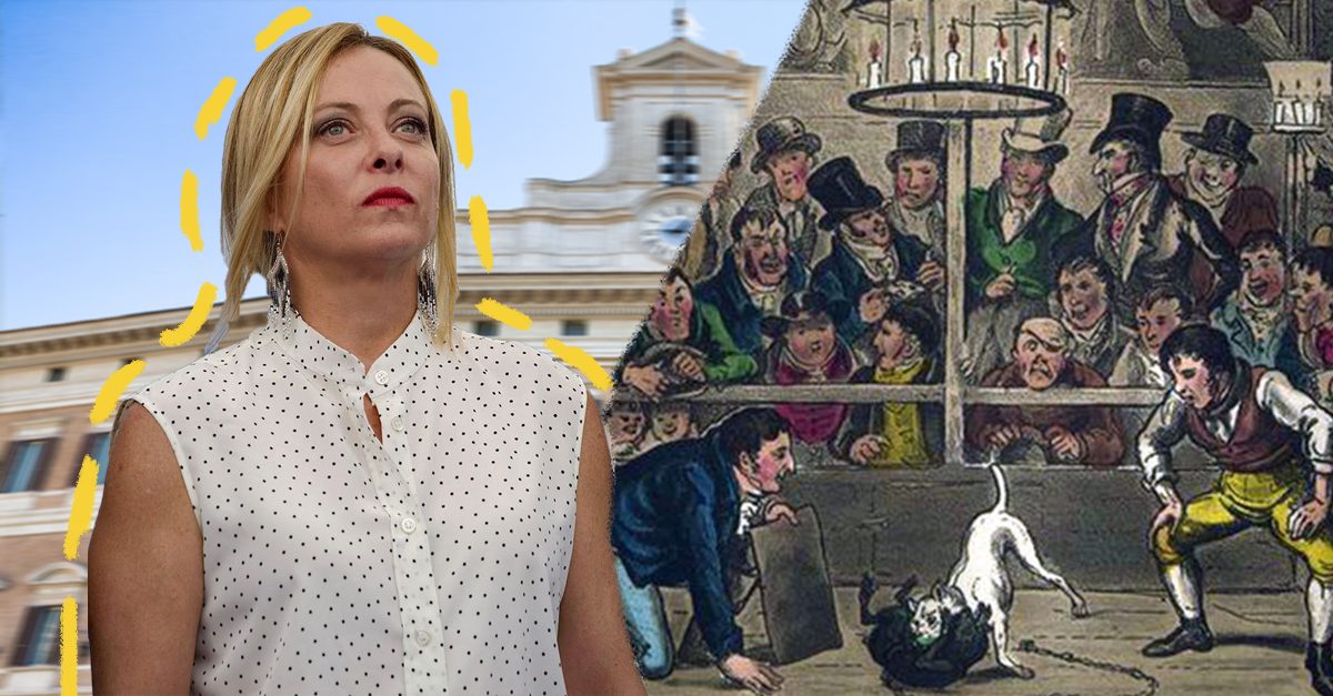 Cosa significa underdog? Il termine usato dalla Meloni descrive una