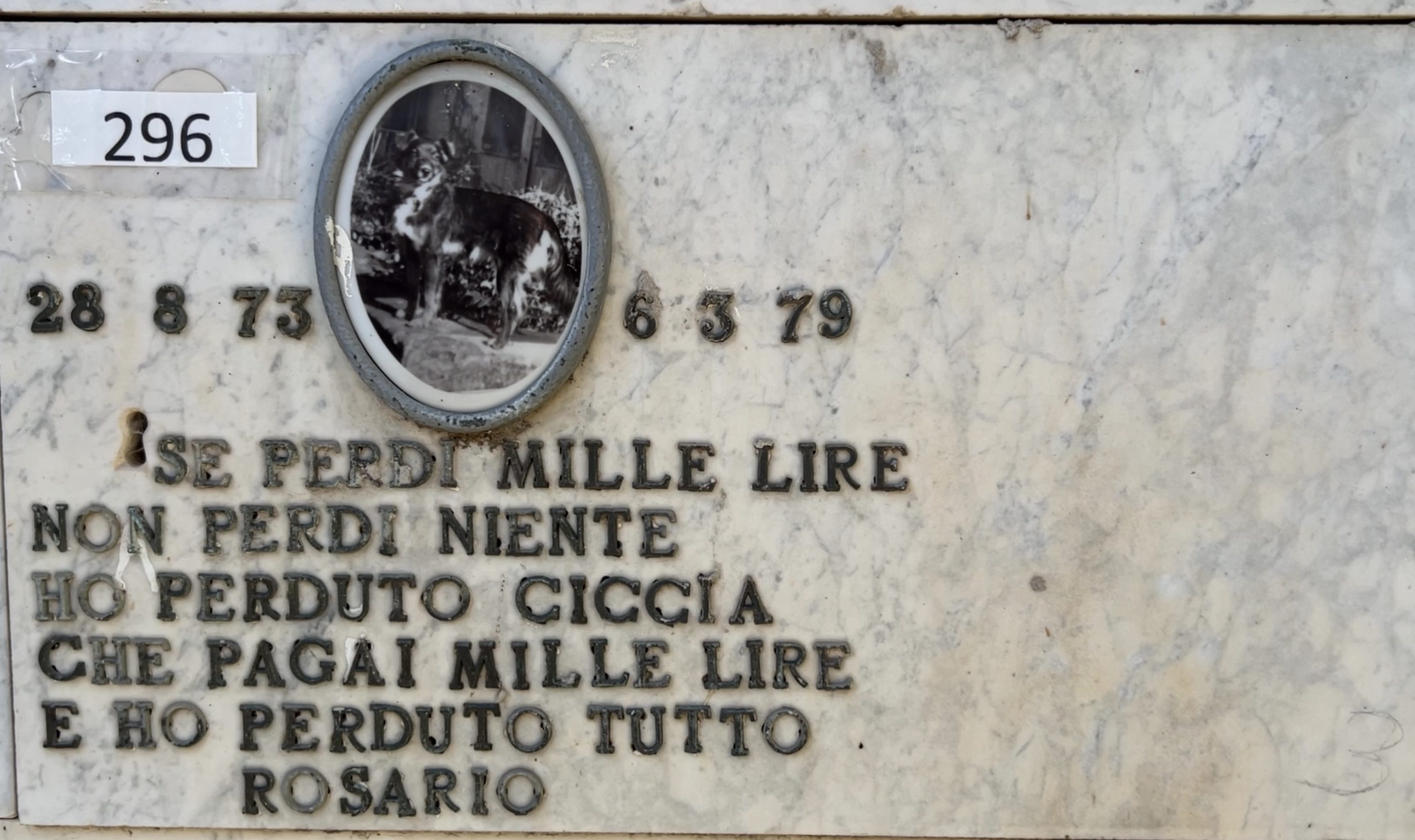 Il cane da mille lire