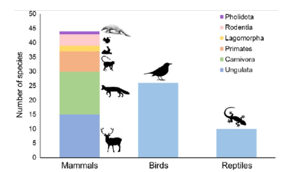 © C. Home, Y. V. Bhatnagar and A. T. Vanak – Impacts of domestic dogs on wildlife in India