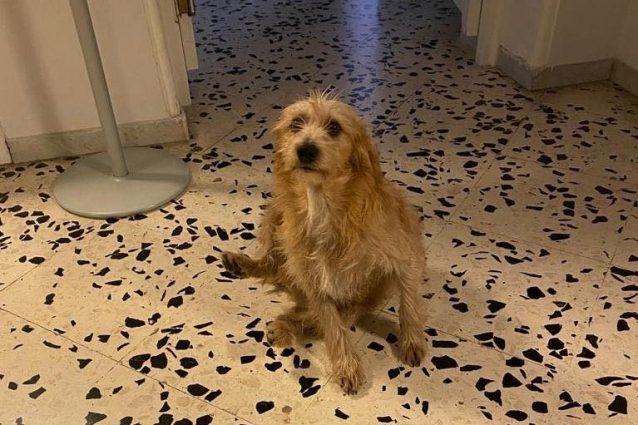 Vincenzino al suo arrivo a scuola