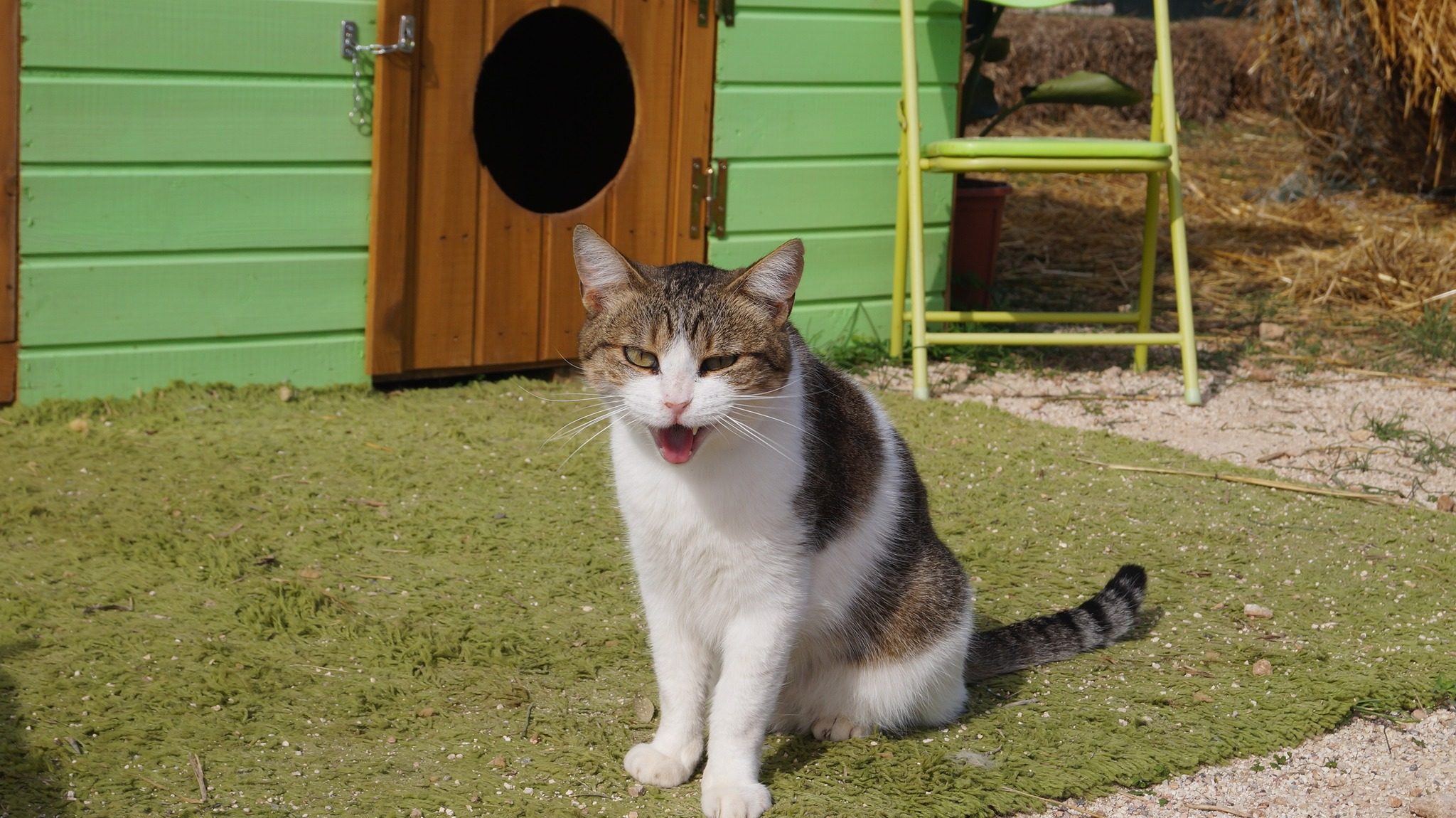 Casa Gattini Mola | Kodami