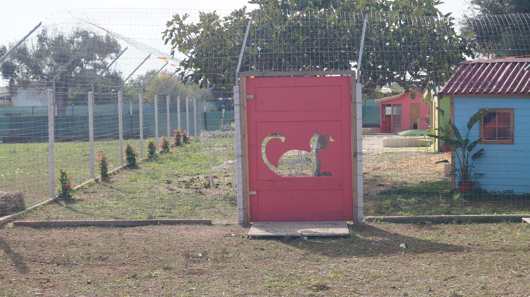 Casa Gattini Mola | Kodami