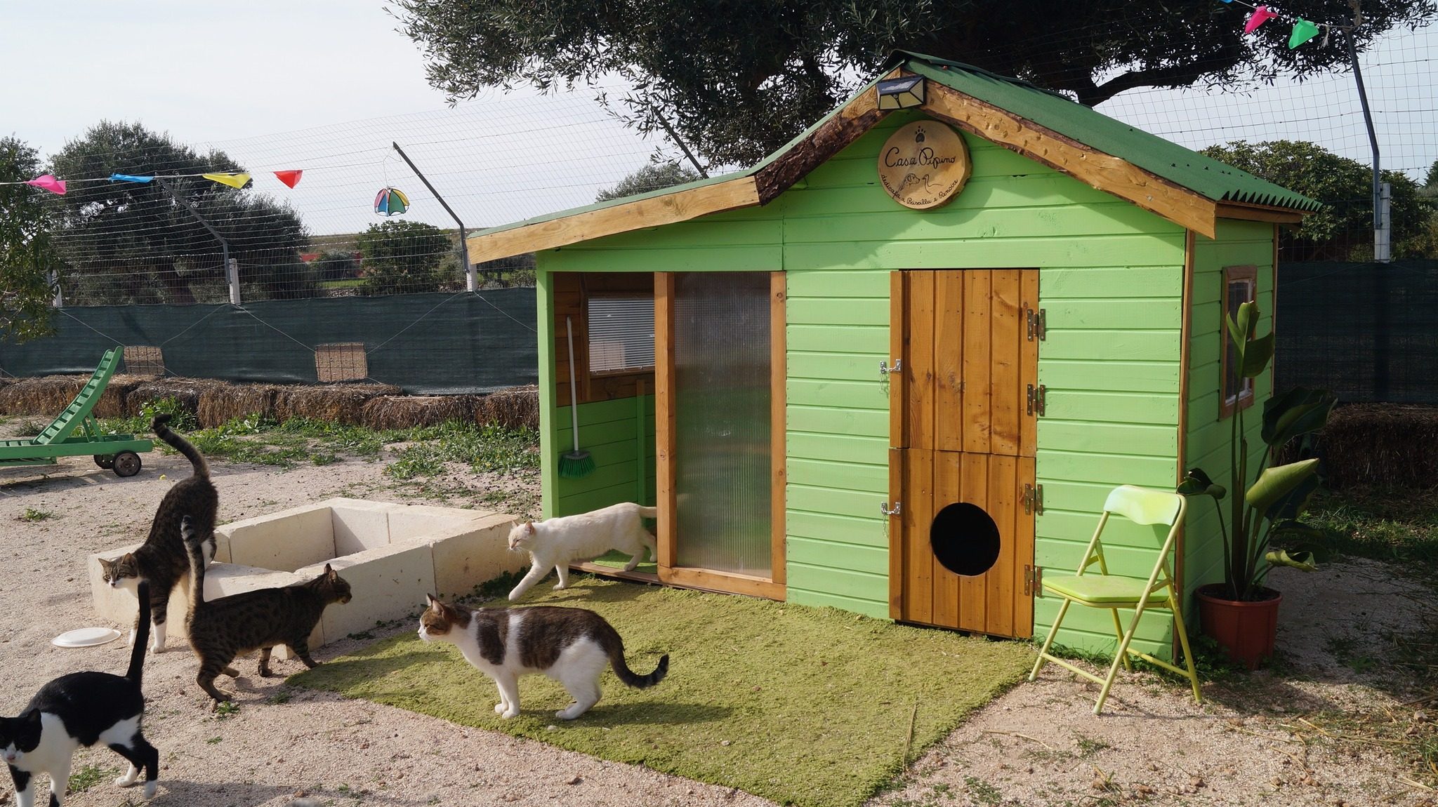 Casa Gattini Mola | Kodami