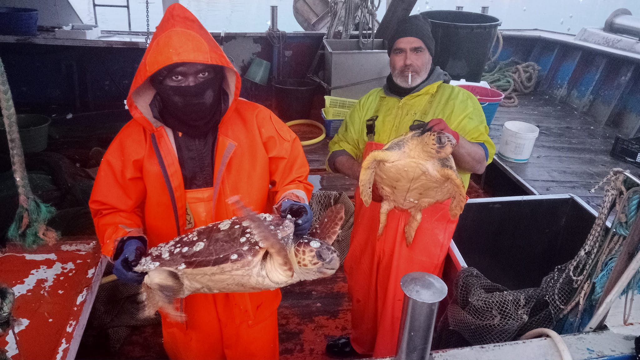 Tartarughe pescatori WWF Molfetta