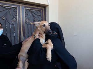 Fonte: Paws Rescue Qatar