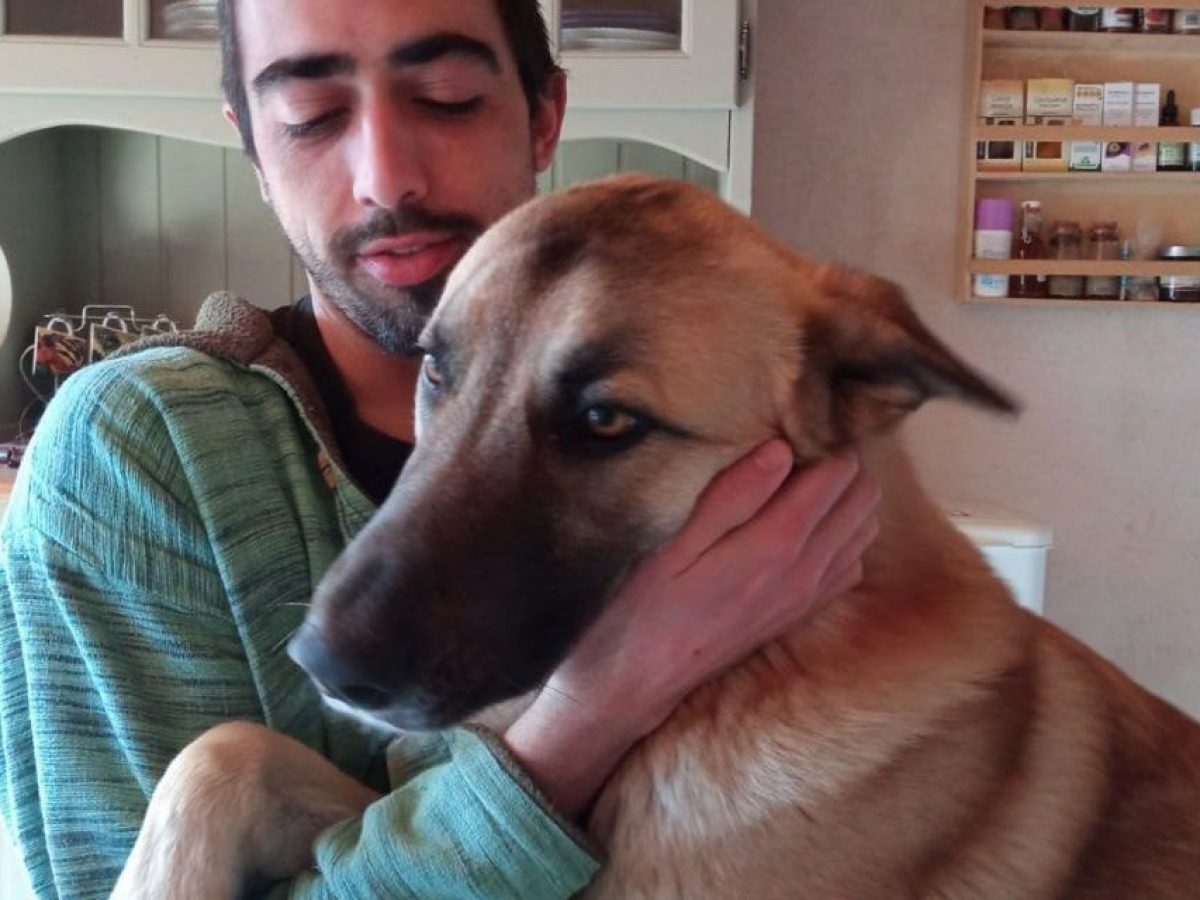 «Il vostro cane è qui» ma è solo un orribile scherzo per un video su