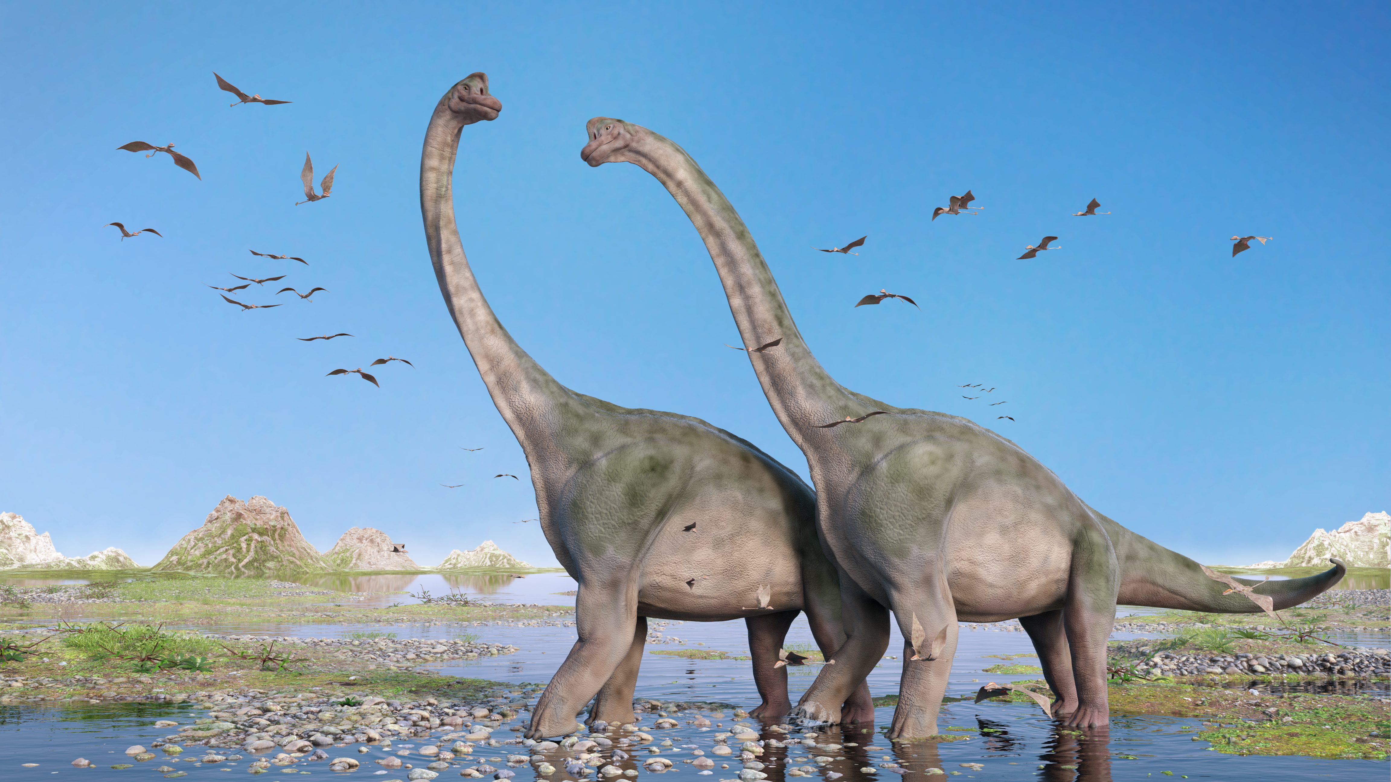 Dinosauri erbivori nomi, come erano fatti e come vivevano