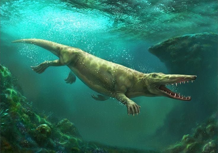 L’Ambulocetus è l’antenato anfibio di tutti i mammiferi marini presenti sulla Terra e disponeva di caratteristiche simili al modo di vivere dello Spinosauro
