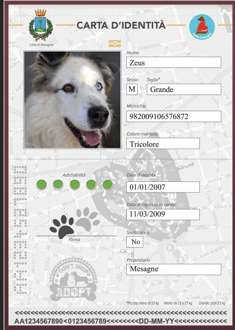 Immagini Di Ringraziamento Con Cani RiS Pet: Ricerca E Solidarietà - Foto 8